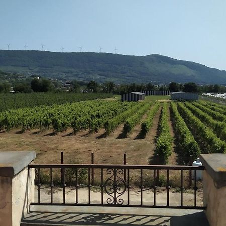 Agriturismo Il Casale Del Cavaliere SantʼAgata deʼ Goti Exteriér fotografie