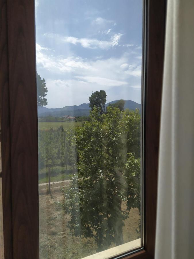 Agriturismo Il Casale Del Cavaliere SantʼAgata deʼ Goti Exteriér fotografie